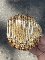 Chocolate Chip 12 Pack - Image 6